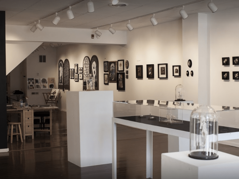 100 days 100 galleries; Day 84: Paradigm Gallery + Studio, Philadelphia&nbsp;PA