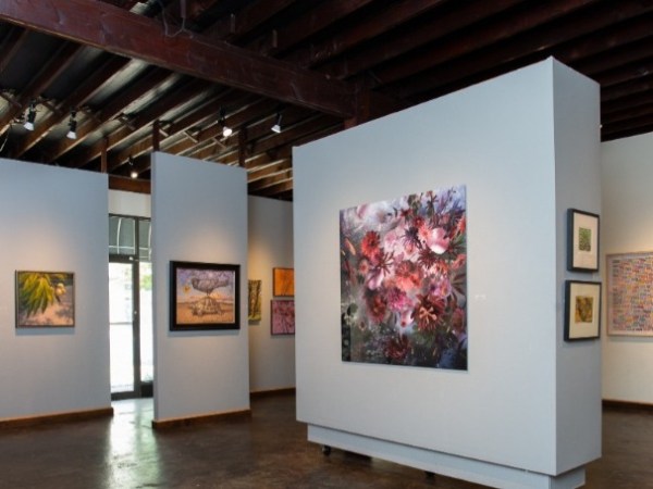 100 days 100 galleries; Day 96: Davis Gallery, Austin&nbsp;TX