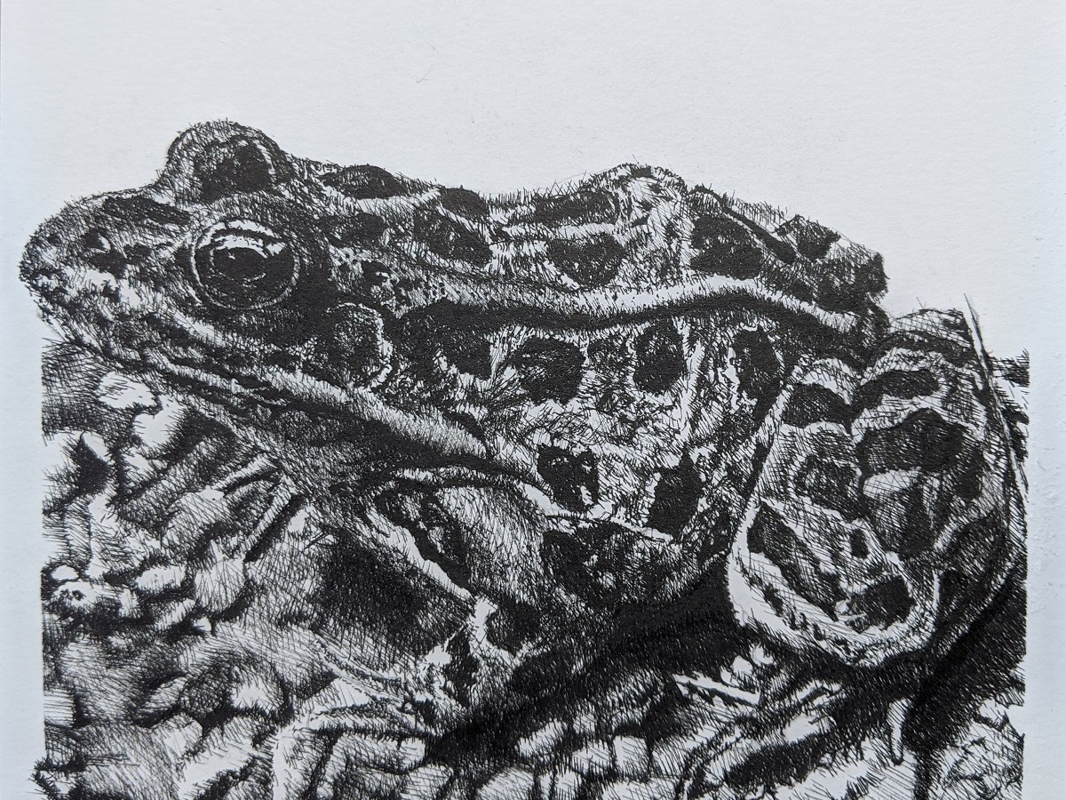 Stones on the&nbsp;road